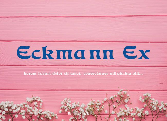 Eckmann Ex example